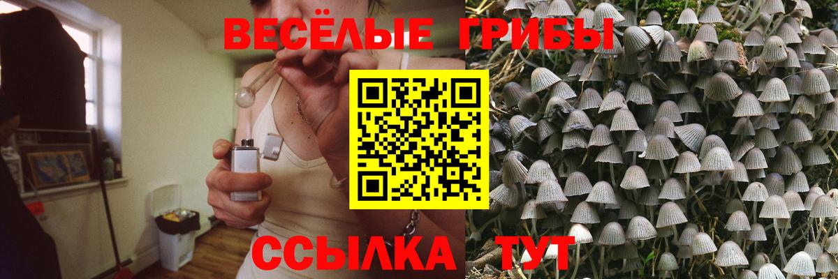 Махачкала  Псилоцибиновые грибы Psilocybine cubensis  Вход с VPN 