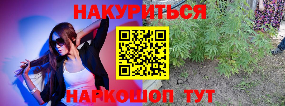 Канабис сатива Махачкала